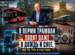 В Перми трамваи ходят даже в дождь и снег, не то, что в Ростове: Путин рассказал о секретах достойного общественного транспорта