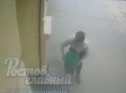Похищение декоративного цветка в центре Ростова попало на видео