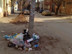 Мусорные свалки под окнами жилых домов обескуражили жителей Ростова