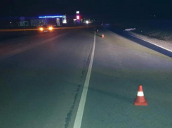 Под Новочеркасском иномарка сбила пьяного мужчину