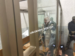 Алексея Логвиненко доставили в Ленинский суд Ростова для избрания меры пресечения
