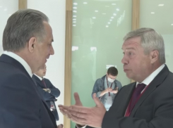 Жители Ростовской области раскритиковали Голубева за участие в питерском экономическом форуме