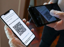 В Ростове для проверки QR-кодов и паспортов на входе в ТЦ могут привлечь полицию