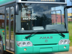 Десятки миллионов рублей потратят на экскурсионный электробус в Ростове