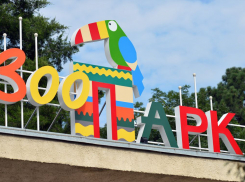 В зоопарке Ростова пройдет показательное кормление экзотических животных