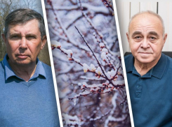 Ученые рассказали о последствиях неожиданного снегопада в Ростовской области