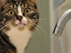 Пять хуторов остались без воды в Ростовской области 