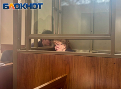 Дело Федотовой снова попросили закрыть от СМИ из-за вымышленной гостайны 