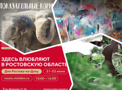 Участвуем в Днях Ростова-на-Дону, посещаем экскурсию по Публичке и кормим слонов: куда пойти в Ростове
