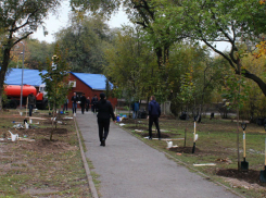 Аллею учителей заложили педагоги и школьники в Ростове