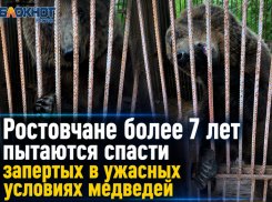Ростовчане более 7 лет пытаются спасти запертых в ужасных условиях медведей