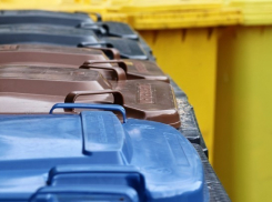 Положительную оценку ростовскому регоператору дала глава Росприроднадзора Светлана Радионова