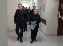 В авгиевых конюшнях ростовских судов подрубили щупальца коррупционному спруту