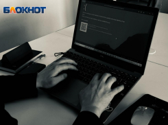 Донская полиция проинформировала о популярных схемах кибермошенничества