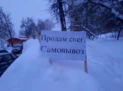 Ростовчане втридорога покупают снег