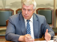 Губернатор Голубев предложил изымать земли, чтобы строить школы и садики