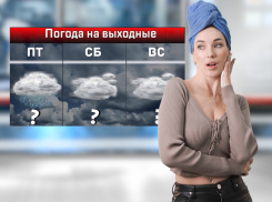 В первые выходные декабря в Ростове ожидается резкое потепление и дожди