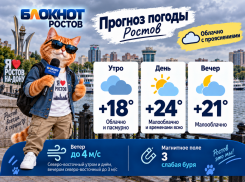 Пасмурный выходной и до +24 прогнозируют синоптики в субботу 19 сентября в Ростове