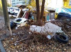 Ленинский район Ростова превратился в помойку 