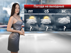 На этих выходных в Ростовской области перестанет идти дождь и резко потеплеет