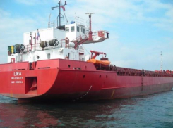 Суд рассмотрит иск строителя моста в Крым к владельцу турецкого сухогруза «Лира» 