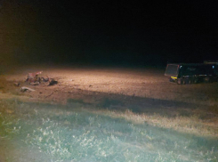 Пять человек погибли в страшном ДТП в Ростовской области 10 августа