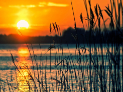 В четверг в Ростове ожидается жара до +35 градусов