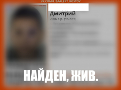 В Ростовской области нашли 15-летнего подростка, который пропал 21 июня