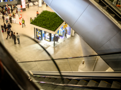 В Платове будут обрабатывать воздух после прибытия рейсов из Китая и Тайланда