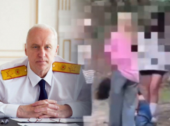 Бастрыкин потребовал доклад после драки школьниц в Таганроге 