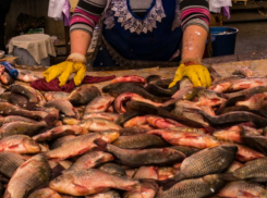 Более 100 килограммов опасной рыбы и раков уничтожили на рынке Ростова