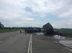 Два водителя грузовиков в Ростовской области погибли в кабинах после ДТП