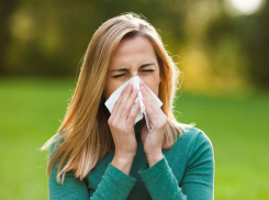 Карту мерзкой пыльцы разработали для страдающих аллергией ростовчан