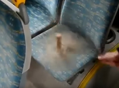 Возмущенная женщина показала на видео ужасы ростовской маршрутки: «волосы дыбом»