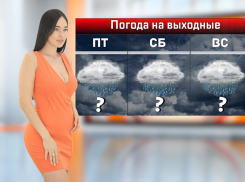 В Ростове с 10 по 12 марта ожидаются дожди