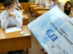 Нелегальные центры подготовки школьников к экзаменам захватили Ростов