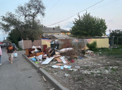 Стихийных свалки ликвидировали в Ростовской области только после вмешательств прокуратуры  