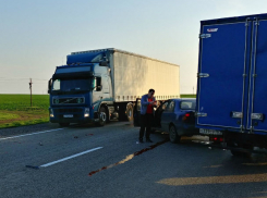 Злая собака едва не угробила водителей двух автомобилей, устроив ДТП под Ростовом