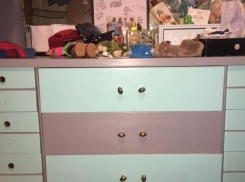 Жаркие споры до хрипоты развели ростовчане в интернете выясняя истинный цвет комода 