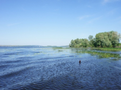 На реке Северский Донец утонул мужчина