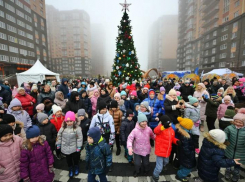 В экорайоне «Вересаево» в Ростове прошла новогодняя елка для жителей