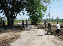 На спасение парка вдоль реки Темерник в Ростове потребуется 12 млн рублей