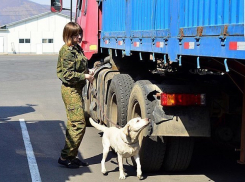 В Ростовской области начальник таможенного поста попался на крупной взятке