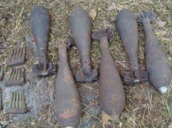 Восемь боевых немецких мин откопала у себя на огороде ошалевшая от ужаса жительница Ростовской области