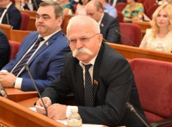 Скандального депутата заксобрания Ростовской области Вахтанга Козаева досрочно лишат полномочий