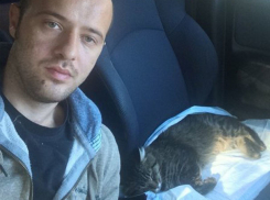 Душевный ростовчанин спас бездомного кота и написал трогательную историю 