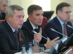 С захудалым и погибшим колхозом сравнил Ростов губернатор Василий Голубев