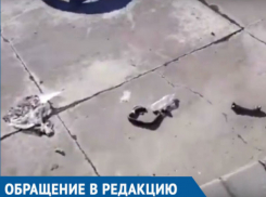 «Вот оно - истинное отношение властей к истории»: горожан возмутил мусор возле стелы освободителям Ростова