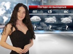 На этих выходных в Ростовской области ожидаются дожди с грозами