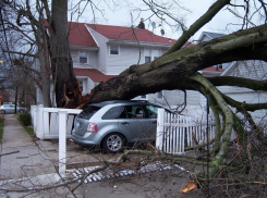 Бешеный ветер: в Ростовской области объявили штормовое предупреждение